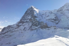 ID_468_Foto0015_(Medium)