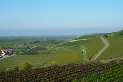 P1080975