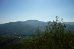 P1080988