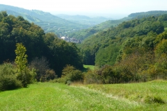 P1090015