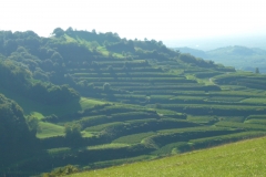 P1090045