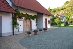 P1090049