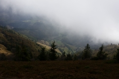 20161008_142859