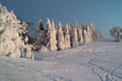 IMG-20160120-WA0015
