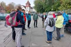 IMG-20241012-WA0009