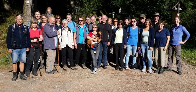 Wie war unsere Herbstwanderung?